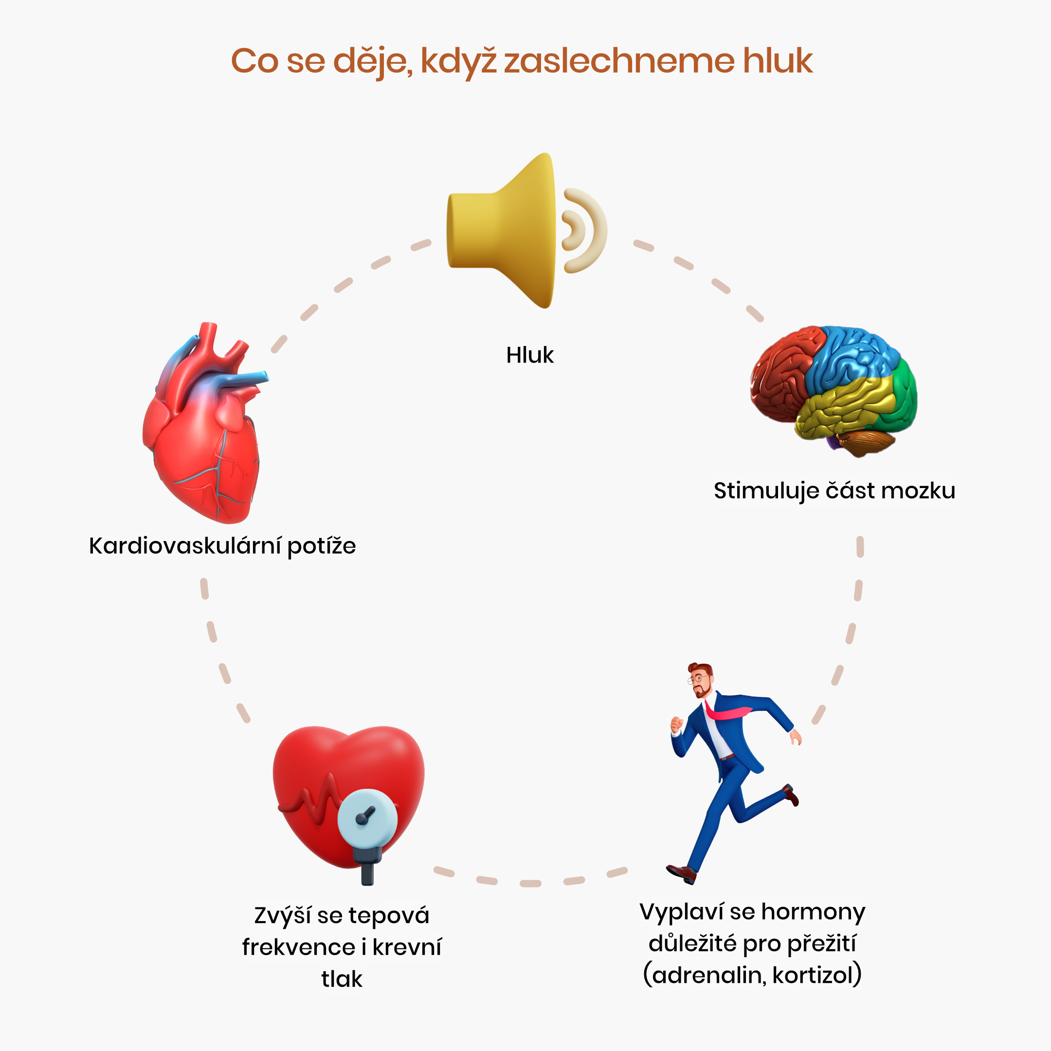 Co se děje, kdyý zaslechneme hluk_inforgafika_cz